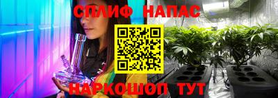 тгк Славгород