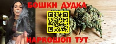 тгк Славгород