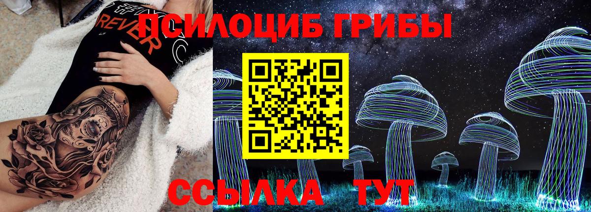Псилоцибиновые грибы MAGIC MUSHROOMS  где можно купить наркотик  Омск  Вход с VPN 