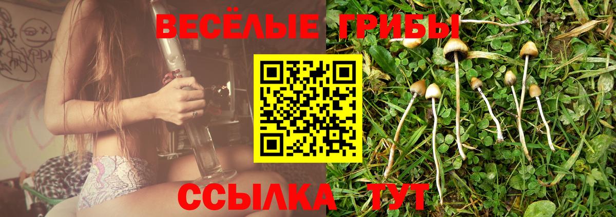Псилоцибиновые грибы прущие грибы Омск